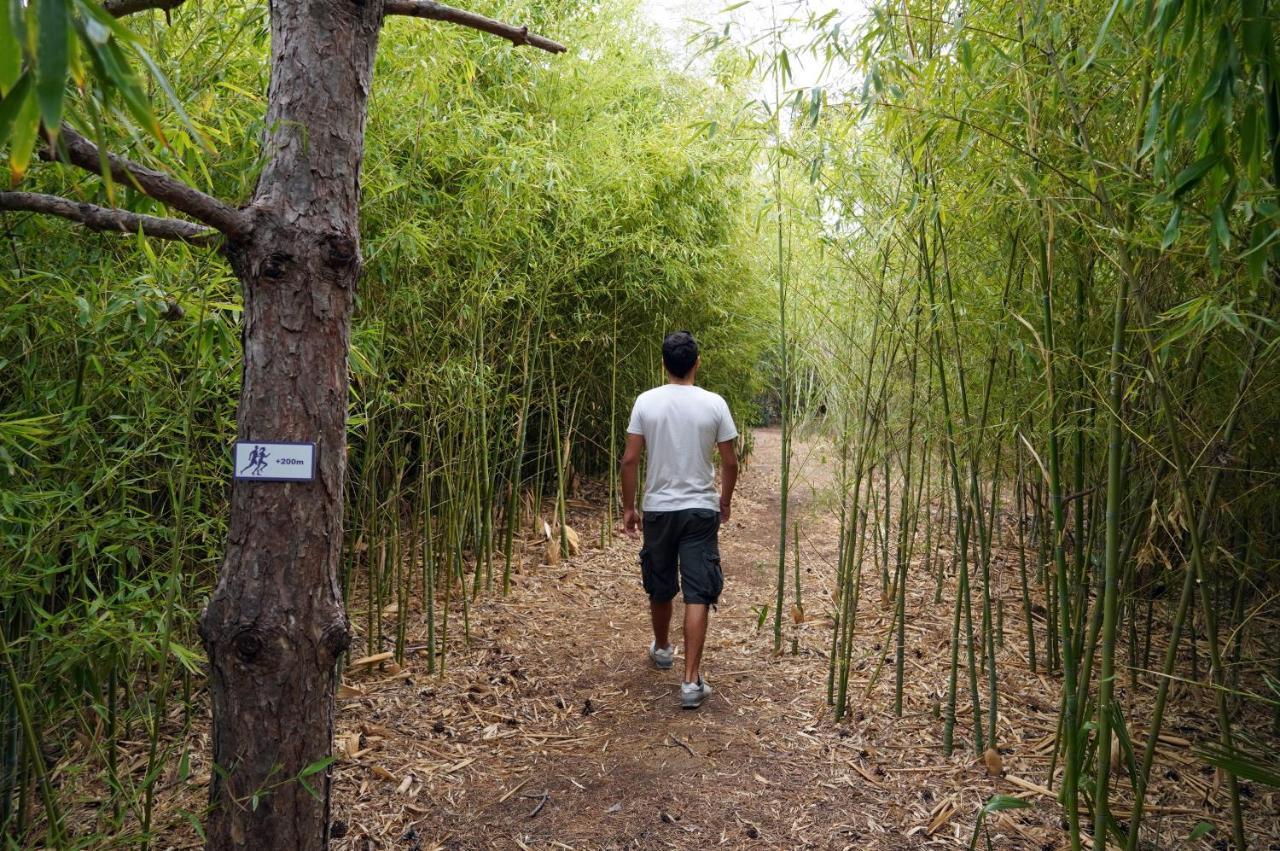 Hyatt Regency Thessaloniki Otel Dış mekan fotoğraf Bamboo forest in the park